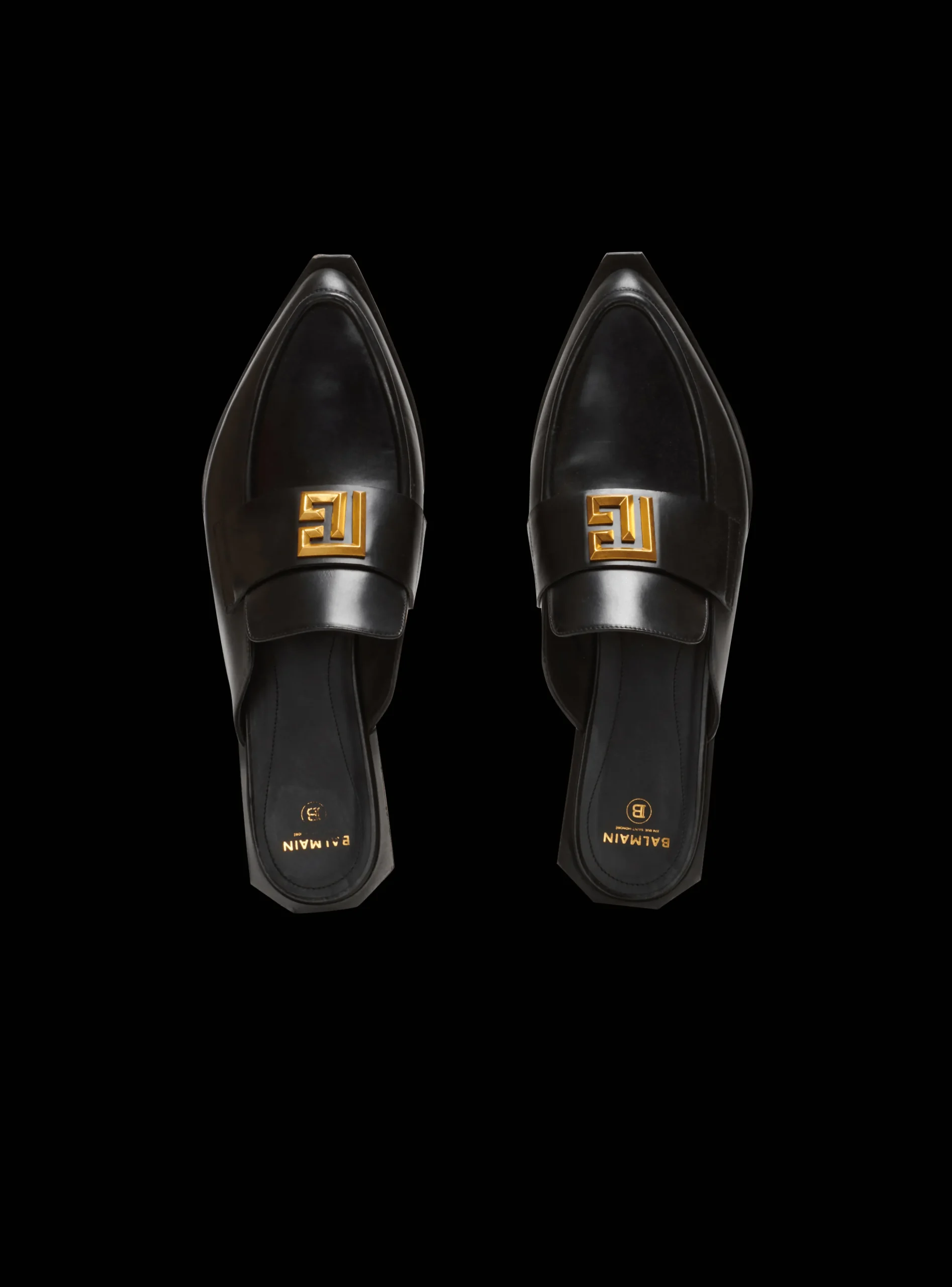 Ana Leather Mules-Balmain New