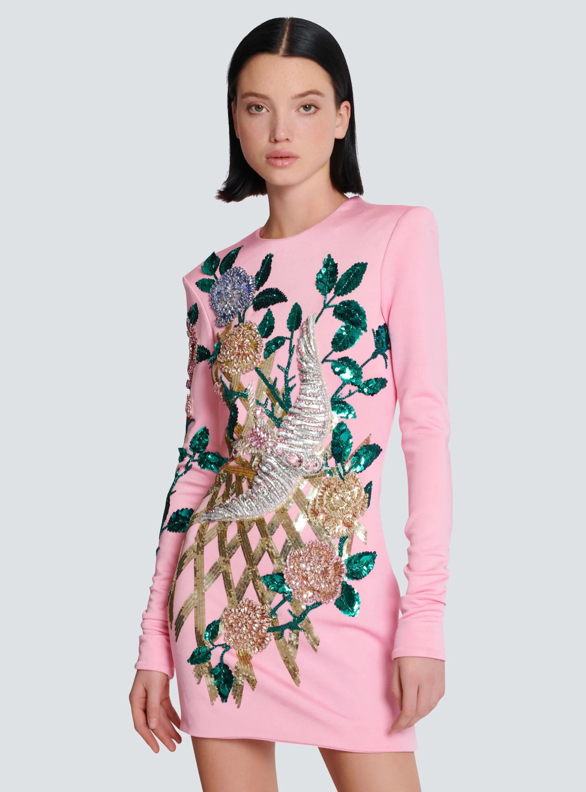 Embroidered Roses Dress-Balmain Fashion